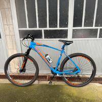 Mtb olmo sentiero