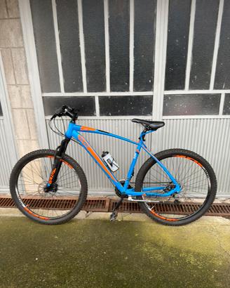 Mtb olmo sentiero