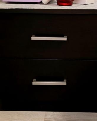 2 Comodini con 2 cassetti