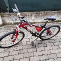 Bici MTB da ragazza