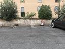 posto-auto-a-roma