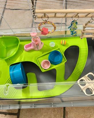 Gabbia per piccoli roditori con trasportino