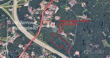 TER. AGRICOLO A MERCOGLIANO