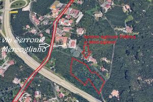 TER. AGRICOLO A MERCOGLIANO