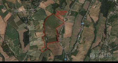 Terreno agricolo 80 Biolche collinare Albinea (Re)