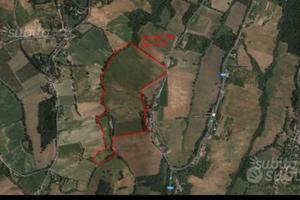 Terreno agricolo 80 Biolche collinare Albinea (Re)