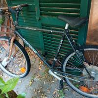 Mountain bike shimano