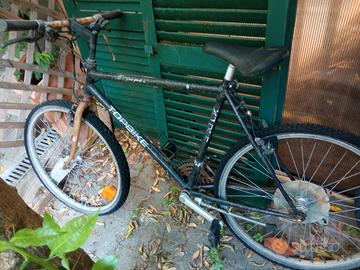 Mountain bike shimano