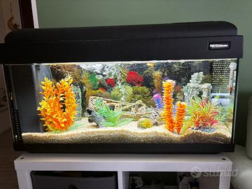 ACQUARIO PET COMPANY 96 L COMPLETO + ACCESSORI