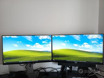 Due monitor 24"