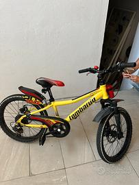 Bici Lombardo 20