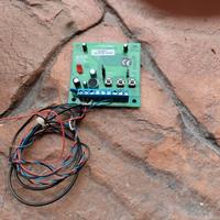 modulo vocale risco per prosys 