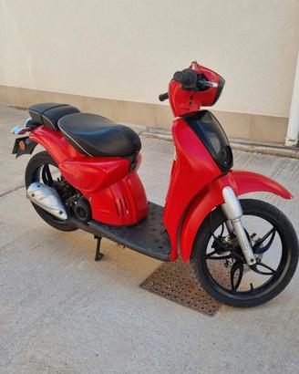scarabeo 50