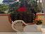 Immagine 27