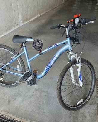 Mountain Bike 26" Cambio Shimano + accessori