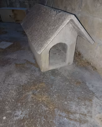 cuccia un cemento per cani di taglia medio grandi