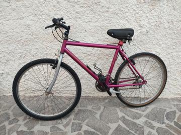 Mountain bike mtb