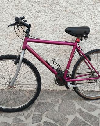 Mountain bike mtb