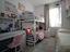 Immagine 14