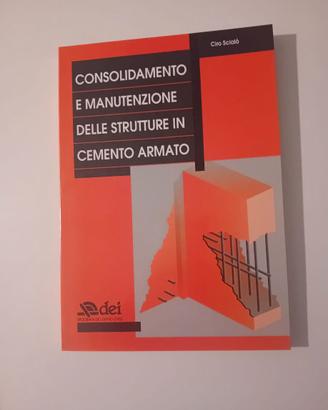 CONSOLID. E MANUTENZIONE DELLE STRUTTURE IN C.A.