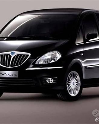 Ricambi usati Lancia musa delta ypsilon 2010 2020