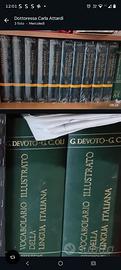 Lotto Dizionari Pregiati: GEDEA (10 Vol.) + Devoto