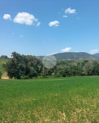 TER. AGRICOLO A TARANO