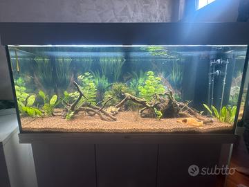 Acquario juwel rio 180 litri