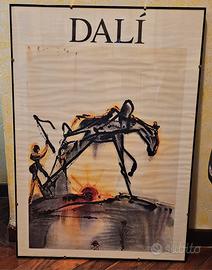 stampa Dali 