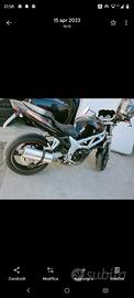 Suzuki SV 650 - 2001