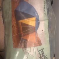 Tenda da campeggio