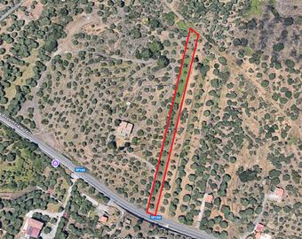Terreno agricolo uliveto