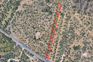 Terreno agricolo uliveto