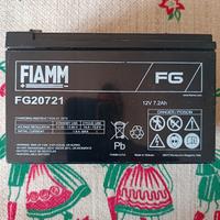 BATTERIE di marca FIAMM
