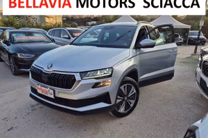 Skoda Karoq 1.0 TSI 110 CV Executive