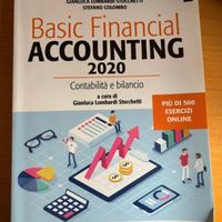 Libro contabilità e bilancio