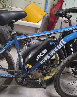 e- mountain bike