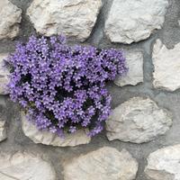 PIETRE SASSI NATURALI