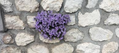 PIETRE SASSI NATURALI