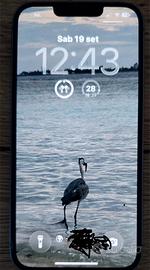 iPhone 14 - 128 GB - Anno 2024