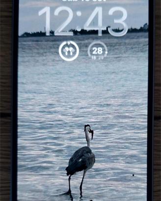 iPhone 14 - 128 GB - Anno 2024