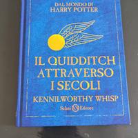 il quindditch attraverso i secoli 