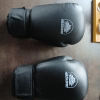 Guantoni marzial sport 10 oz Usati.