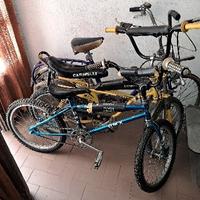 BICICLETTE VINTAGE anni 70/80