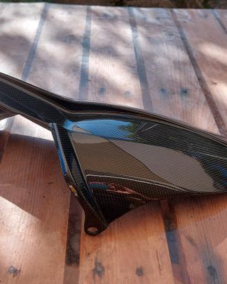 parafango carbonio monster 796