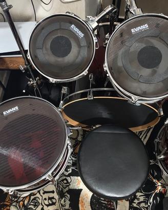 batteria acustica Pearl Decade Maple 