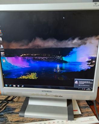 monitor   Hyundai  L17T 