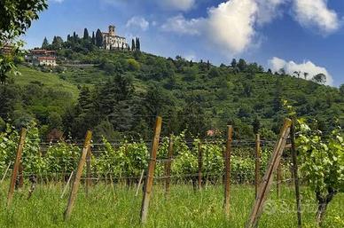 Vigna con Agriturismo