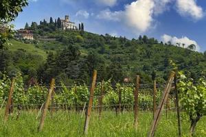 Vigna con Agriturismo