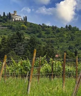 Vigna con Agriturismo